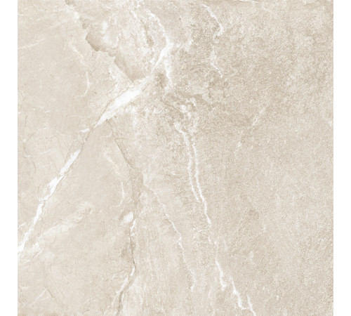 Керамогранит Delacora D60262M Вайлд Голд / Wild Gold 60×60