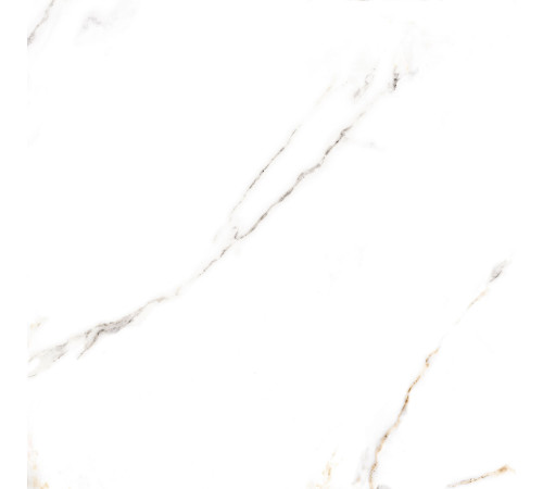 Керамогранит Alma Ceramica GFA57ECL04R Extra Calacatta 57x57 белый матовый под мрамор