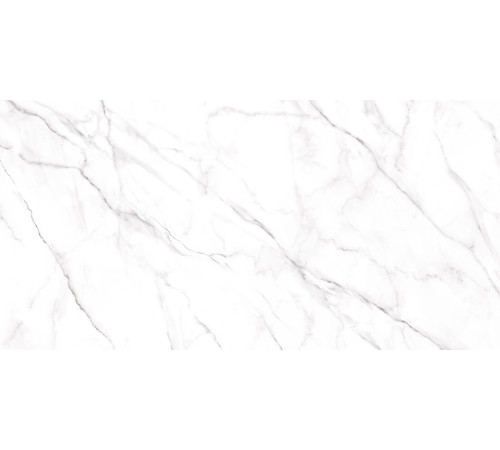 Керамогранит Alma Ceramica GFU60120NCL07R Neo Calacatta 60x120 белый глазурованный матовый под камень