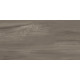 Керамогранит Artkera Group GP36GOA18 Гоа серо-коричневый / Goa Taupe 30×60