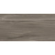 Керамогранит Artkera Group GP36GOA18 Гоа серо-коричневый / Goa Taupe 30×60