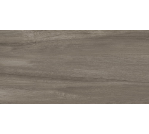 Керамогранит Artkera Group GP36GOA18 Гоа серо-коричневый / Goa Taupe 30×60