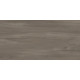 Керамогранит Artkera Group GP36GOA18 Гоа серо-коричневый / Goa Taupe 30×60