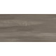 Керамогранит Artkera Group GP36GOA18 Гоа серо-коричневый / Goa Taupe 30×60