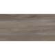 Керамогранит Artkera Group GP36GOA18 Гоа серо-коричневый / Goa Taupe 30×60