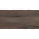 Керамогранит Artkera Group GP36GOA21 Гоа каштановый / Goa Marron 30×60