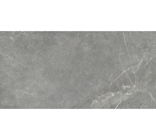 Керамогранит Artkera Group GP60120TIA05M Титаниум серый / Titanium Gris 60×120