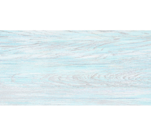 Плитка настенная North TWU09NRT606 249x500x7.5 Глянцевая
