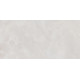 Плитка настенная Rivoli TWU09RVL007 249x500x7.5 Глянцевая