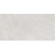 Плитка настенная Rivoli TWU09RVL007 249x500x7.5 Глянцевая