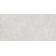 Плитка настенная Rivoli TWU09RVL007 249x500x7.5 Глянцевая