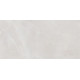 Плитка настенная Rivoli TWU09RVL007 249x500x7.5 Глянцевая