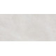 Плитка настенная Rivoli TWU09RVL007 249x500x7.5 Глянцевая