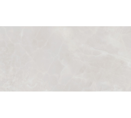 Плитка настенная Rivoli TWU09RVL007 249x500x7.5 Глянцевая