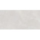 Плитка настенная Rivoli TWU09RVL007 249x500x7.5 Глянцевая