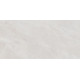 Плитка настенная Rivoli TWU09RVL007 249x500x7.5 Глянцевая