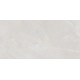 Плитка настенная Rivoli TWU09RVL007 249x500x7.5 Глянцевая