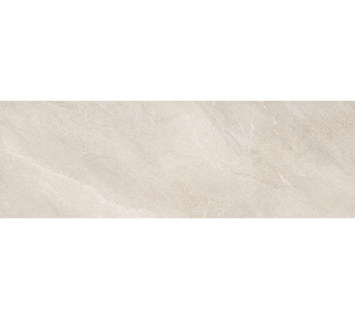 Плитка настенная Rialto TWU12RLT04R 246x740x9.5 Матовая