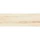Плитка настенная Sanders Maple WT11SND08 200x600x7.5 Глянцевая