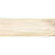 Плитка настенная Canyon Wood WT15CAC08R 246x740x9 Глянцевая