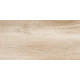 Плитка настенная Artwood WT36AOD08 300x600x9 Глянцевая