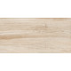 Плитка настенная Artwood WT36AOD08 300x600x9 Глянцевая