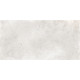 Плитка настенная Elbrus Gray WT36ELR15 300x600x9 Матовая
