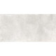 Плитка настенная Elbrus Gray WT36ELR15 300x600x9 Матовая