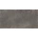 Плитка настенная Elbrus Graphite WT36ELR25 300x600x9 Матовая