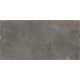 Плитка настенная Elbrus Graphite WT36ELR25 300x600x9 Матовая