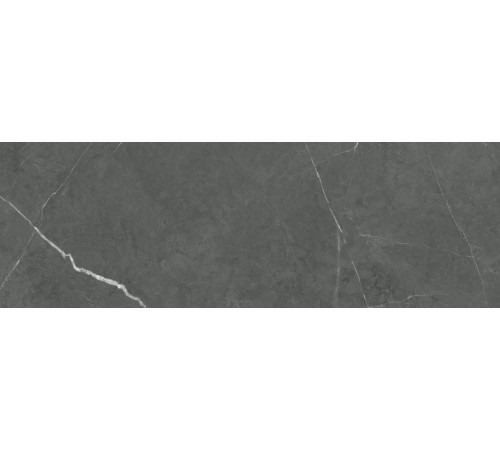 Плитка настенная Delacora WT93ROK25. Рокстайл темно-серый / Rockstyle Graphite 30×90
