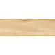Плитка настенная Woodstyle Elm WT93WOS11 300x900x10.5 Матовая