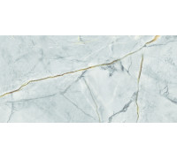 Плитка настенная AltaCera WT9ALN23 Альбион Пульпис темный / Albion Pulpis Dark 24.9×50