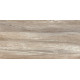 Плитка настенная Detroit Wood WT9DET08 249x500x8.5 Глянцевая