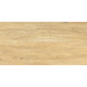 Плитка настенная Elemento Cedar WT9ELT31 250x500x9 Глянцевая