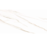 Плитка настенная AltaCera WT9ESR00 Эсприт Калакатта / Esprit Calacatta 25×50