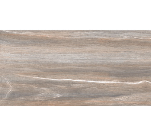 Плитка настенная Esprit Wood WT9ESR21 250x500x9 Глянцевая