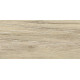 Плитка настенная Islandia Wood WT9ISL08 249x500x8.5 Матовая