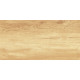 Плитка настенная Paradise Wood WT9OAS31 250x500x9 Глянцевая