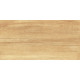 Плитка настенная Paradise Wood WT9OAS31 250x500x9 Глянцевая