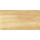 Плитка настенная Paradise Wood WT9OAS31 250x500x9 Глянцевая