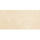 Плитка настенная Petra Beige WT9PET11 249x500x8.5 Матовая