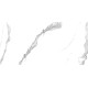 Плитка настенная Vertus Calacatta WT9VET15 249x500x7.5 Матовая