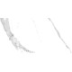 Плитка настенная Vertus Calacatta WT9VET15 249x500x7.5 Матовая