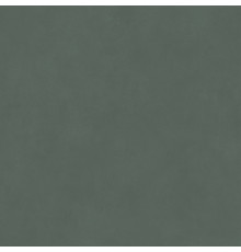 Керамогранит Про Чементо DD642120R Зеленый матовый