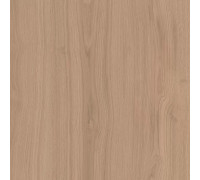 Керамогранит Альберони SG643620R Бежевый матовый
