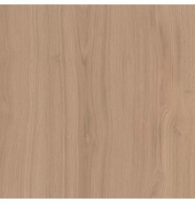 Керамогранит Альберони SG643620R Бежевый матовый