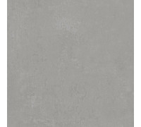 Керамогранит Про Фьюче DD640220R Серый матовый