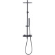 Душевая стойка Allen Brau Infinity 5.21029-31 черный матовый