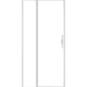 Душевая дверь Allen Brau Priority 100 3.31029.BA серебро браш